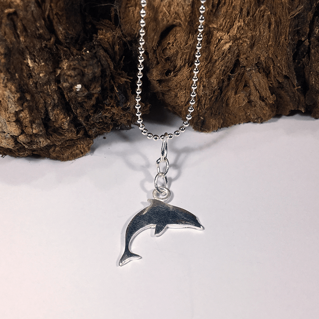 Dolphin silver charm