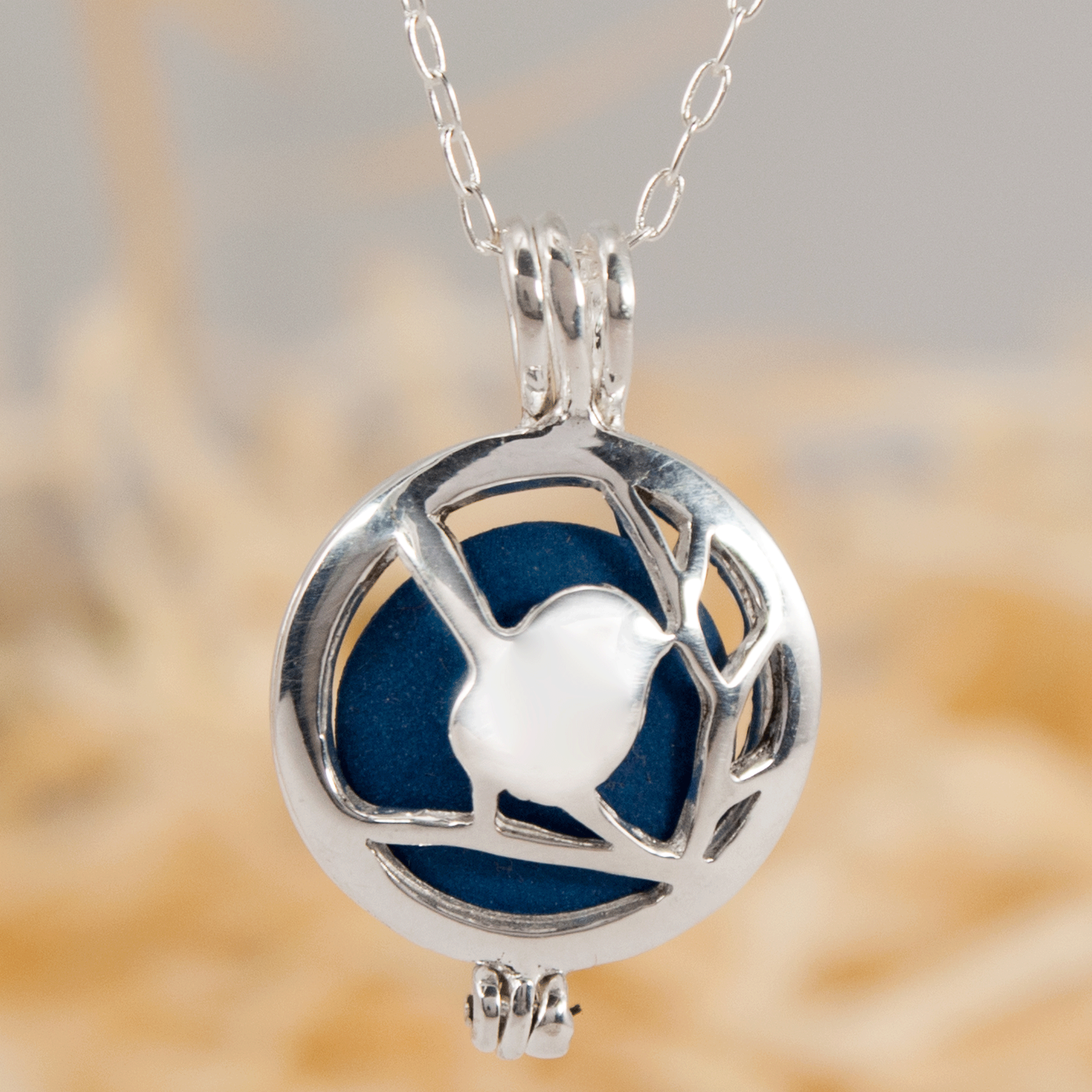 silver wren bird locket