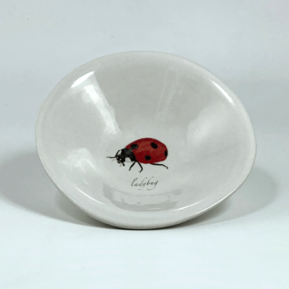 porcelain little bowl with a red ladybird print
