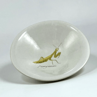 little white porcelain bowl with a praying mantis drawing in the centre