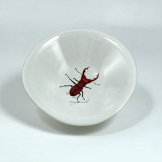 little porcelain trinket bowl with a brown stag beetle drawing in the center